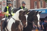 TVP Horses