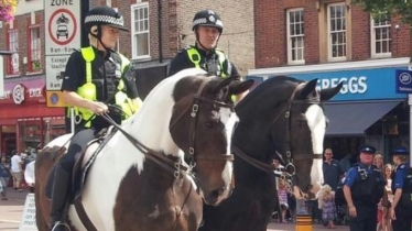 TVP Horses